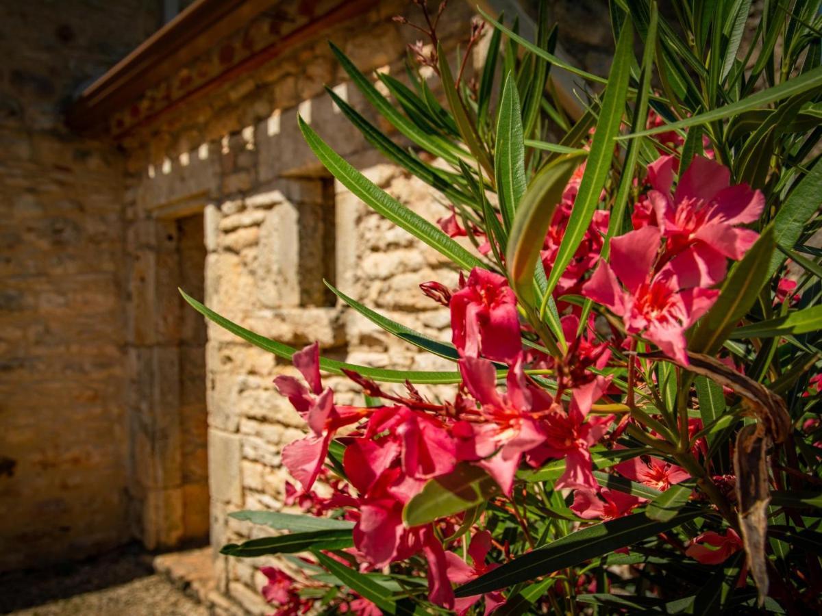 Gite Girou Haut Montcabrier  Exterior foto
